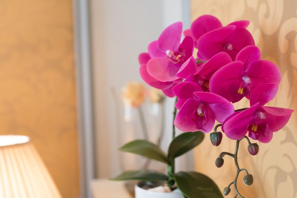 Arenberg Boutique Hotel Zentrum Wien Eksteriør bilde